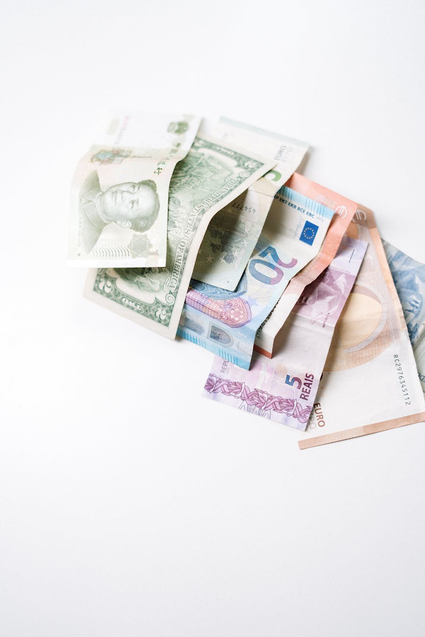 International financial markets and global investment opportunities